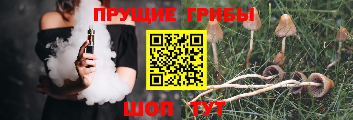 Галлюциногенные грибы мухоморы  Вход с VPN  Кашира  Галлюциногенные грибы Psilocybe 