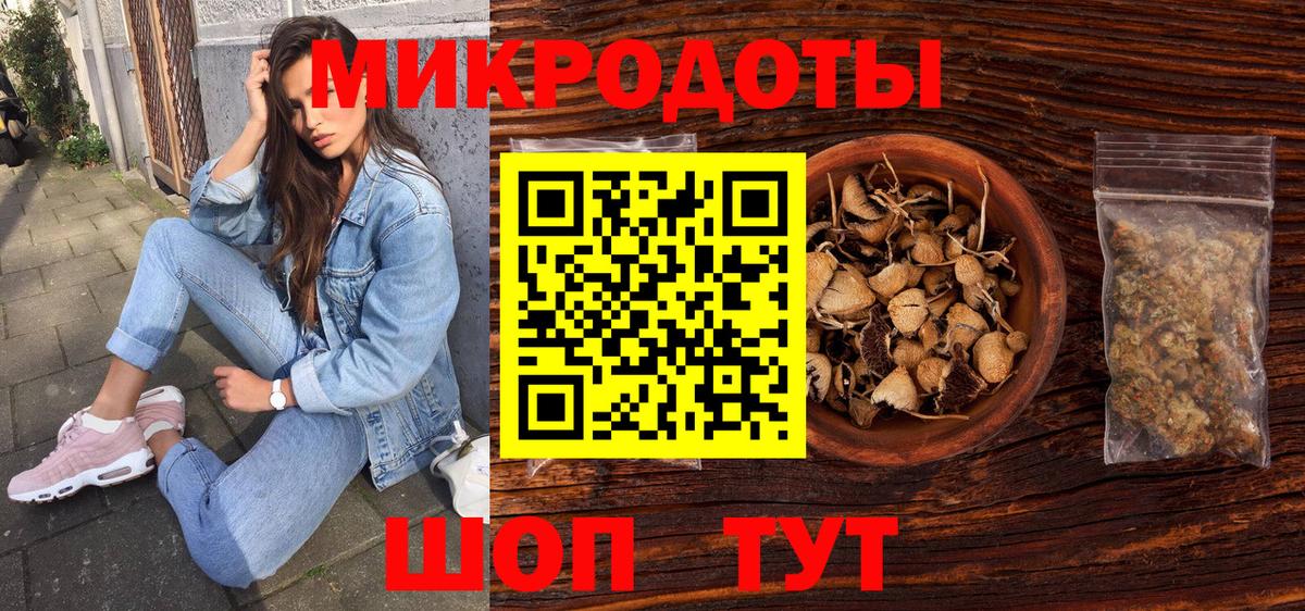 Галлюциногенные грибы Psilocybine cubensis Кашира